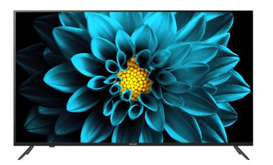 Sharp 55 pouces 4T-C55EK2NX LED backlight TV